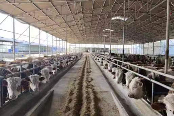 種植棚，養(yǎng)殖棚